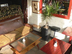 Blackcat - Accommodation Georgetown 2
