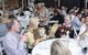 The Greengate Hotel - thumb 3