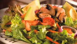 Hogs Breath Cafe - Accommodation Georgetown 3