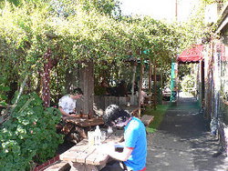 Blackcat - Accommodation Georgetown 3