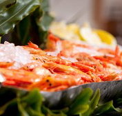 Food Fantasy - Accommodation Georgetown