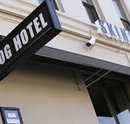 Skinny Dog Hotel - Accommodation Georgetown