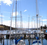 Oyster Cove Inn - Accommodation Georgetown
