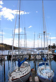 Oyster Cove Inn - Accommodation Georgetown 0