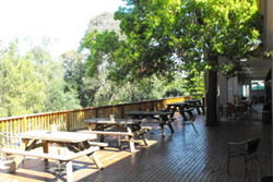 Berkshire Park NSW Accommodation Georgetown