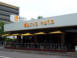 Ducks Nuts Bar & Grill - Accommodation Georgetown 2