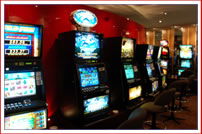 Derwent Tavern - Accommodation Georgetown 3