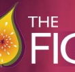 Pickled Fig - Accommodation Georgetown