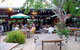 Lizard's Outdoor Bar And Grill - thumb 1