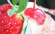 The Chase Bar & Bistro - thumb 2