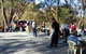 Adelaide Hills Petanque Club - thumb 0