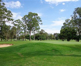 Fern Gully NSW Accommodation Georgetown