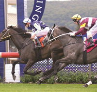 Gosford Race Club - Accommodation Georgetown