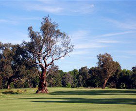 Corowa Golf Club - Accommodation Georgetown 5