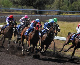 Alice Springs Turf Club - Accommodation Georgetown 0