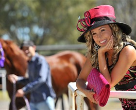 Alice Springs Turf Club - Accommodation Georgetown 4