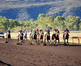 Alice Springs Turf Club - Accommodation Georgetown 6