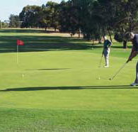 Waikerie Golf Club - Accommodation Georgetown