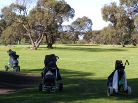 Minlaton Golf Club - Accommodation Georgetown 3