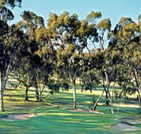 Tanunda Pines Golf Club - Accommodation Georgetown