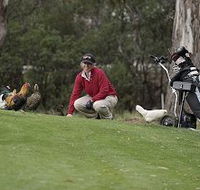 Tasmania Golf Club - The - Accommodation Georgetown