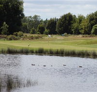 Llanherne Golf Club - Accommodation Georgetown