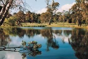 Echunga Golf Club Incorporated - Accommodation Georgetown 1