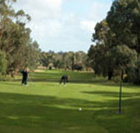 Mount Gambier Golf Club - Accommodation Georgetown