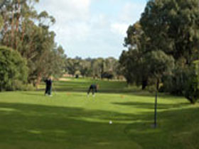 Mount Gambier Golf Club - Accommodation Georgetown 0