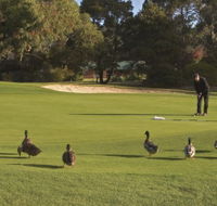 Royal Hobart Golf Club - Accommodation Georgetown