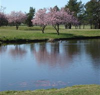 RMC Golf Club - Accommodation Georgetown