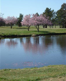 RMC Golf Club - Accommodation Georgetown 0