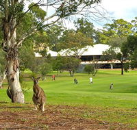 Pambula Merimbula Golf Club - Accommodation Georgetown