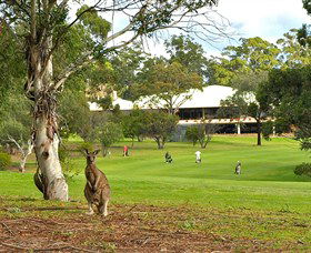 Pambula Merimbula Golf Club - Accommodation Georgetown 0