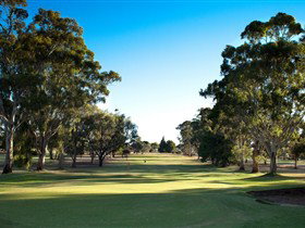 Loxton Golf Club - Accommodation Georgetown 0