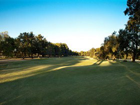 Loxton Golf Club - Accommodation Georgetown 2