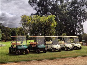 Loxton Golf Club - Accommodation Georgetown 1