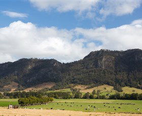 Forbesdale NSW Accommodation Georgetown