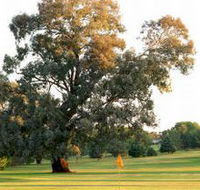 Cowra Golf Club - Accommodation Georgetown