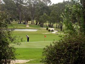 Mount Barker-Hahndorf Golf Club - Accommodation Georgetown 0