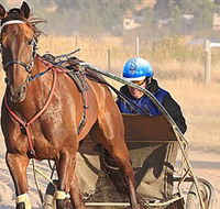 Ballarat  District Trotting Club - Accommodation Georgetown