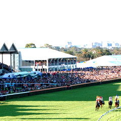 Morphettville SA Accommodation Georgetown