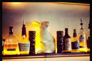 Hairy Canary - Accommodation Georgetown 0