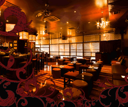 Hippo Lounge Bar - Accommodation Georgetown 0