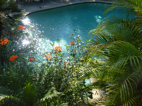 Avoca Beach Hotel - Accommodation Georgetown 1