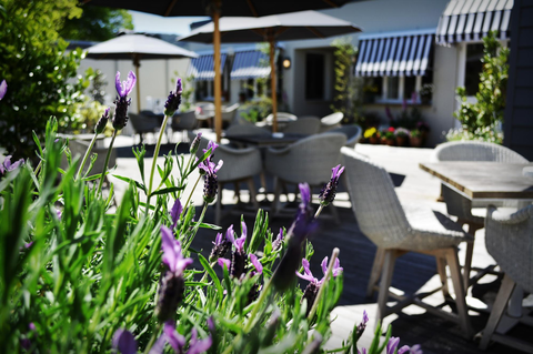 Royal Hotel Bowral - Accommodation Georgetown 4