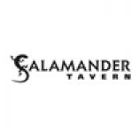 Salamander Tavern - Accommodation Georgetown