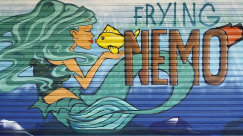 Frying Nemo - Accommodation Georgetown 3