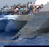 MoonshadowTQC Cruises - Accommodation Georgetown