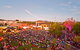 Albury Carols By Candlelight - thumb 1